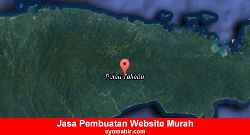 Jasa Pembuatan Website Murah Pulau Taliabu