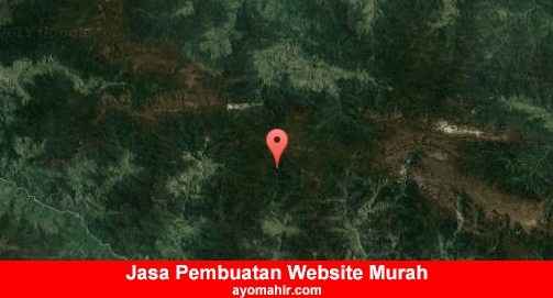 Jasa Pembuatan Website Murah Jayawijaya