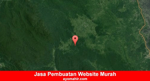 Jasa Pembuatan Website Murah Aceh Timur