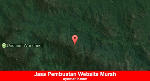 Jasa Pembuatan Website Murah Intan Jaya