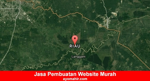 Jasa Pembuatan Website Murah Riau