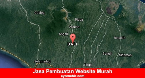 Jasa Pembuatan Website Murah Bali
