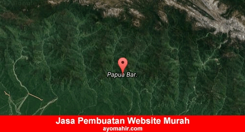 Jasa Pembuatan Website Murah Papua