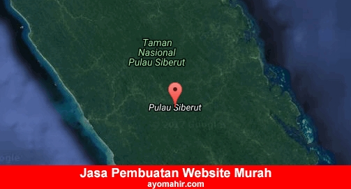 Jasa Pembuatan Website Murah Kepulauan Mentawai