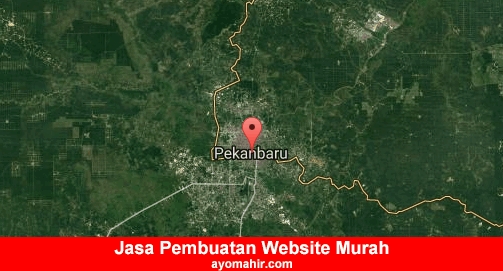 Jasa Pembuatan Website Murah Kota Pekanbaru