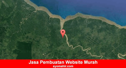 Jasa Pembuatan Website Murah Tanjung Jabung Timur