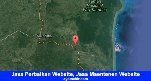 Jasa Perbaikan Website, Jasa Maintenance Website Murah Lampung Timur