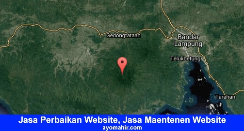 Jasa Perbaikan Website, Jasa Maintenance Website Murah Pesawaran