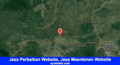 Jasa Perbaikan Website, Jasa Maintenance Website Murah Pringsewu