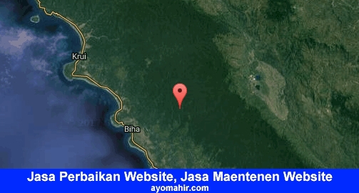 Jasa Perbaikan Website, Jasa Maintenance Website Murah Pesisir Barat