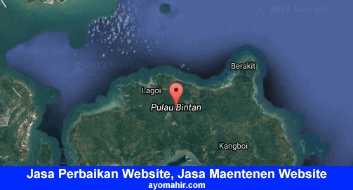 Jasa Perbaikan Website, Jasa Maintenance Website Murah Bintan