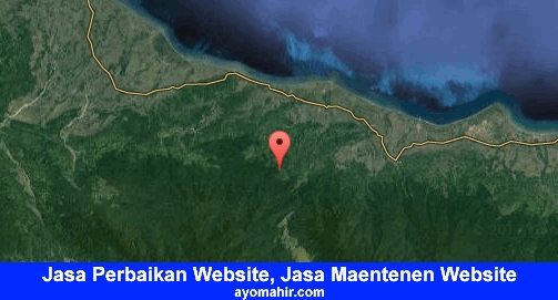 Jasa Perbaikan Website, Jasa Maintenance Website Murah Pidie Jaya
