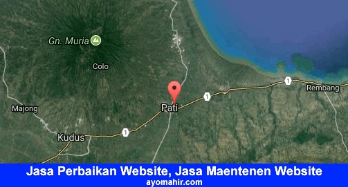 Jasa Perbaikan Website, Jasa Maintenance Website Murah Pati