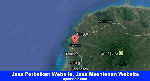 Jasa Perbaikan Website, Jasa Maintenance Website Murah Jepara