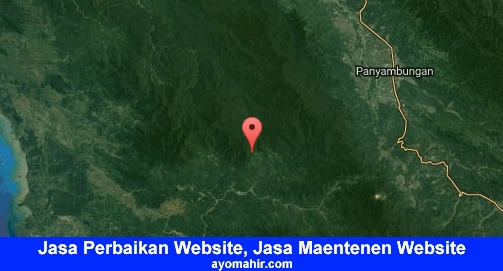Jasa Perbaikan Website, Jasa Maintenance Website Murah Mandailing Natal