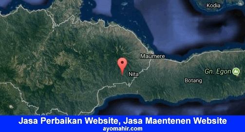 Jasa Perbaikan Website, Jasa Maintenance Website Murah Sikka