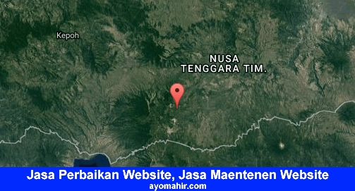 Jasa Perbaikan Website, Jasa Maintenance Website Murah Ngada