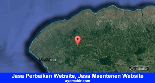 Jasa Perbaikan Website, Jasa Maintenance Website Murah Sumba Barat Daya