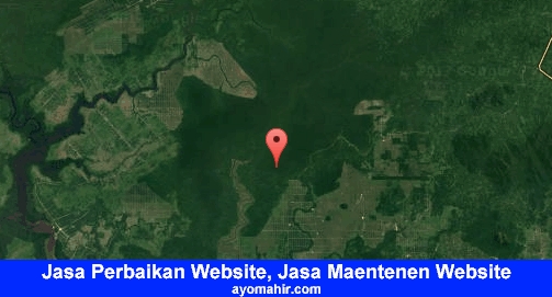 Jasa Perbaikan Website, Jasa Maintenance Website Murah Kayong Utara