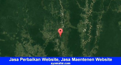 Jasa Perbaikan Website, Jasa Maintenance Website Murah Kapuas