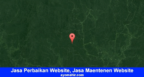 Jasa Perbaikan Website, Jasa Maintenance Website Murah Katingan