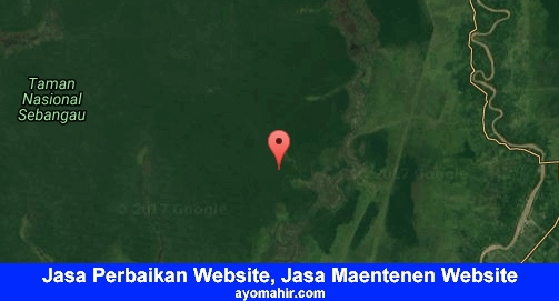 Jasa Perbaikan Website, Jasa Maintenance Website Murah Pulang Pisau