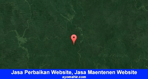 Jasa Perbaikan Website, Jasa Maintenance Website Murah Murung Raya