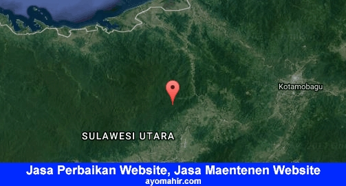 Jasa Perbaikan Website, Jasa Maintenance Website Murah Bolaang Mongondow