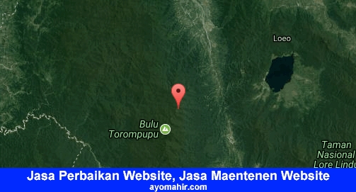 Jasa Perbaikan Website, Jasa Maintenance Website Murah Sigi