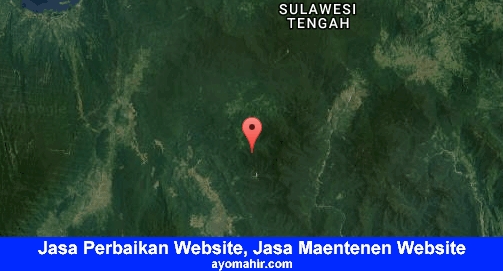 Jasa Perbaikan Website, Jasa Maintenance Website Murah Morowali Utara