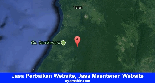 Jasa Perbaikan Website, Jasa Maintenance Website Murah Halmahera Barat