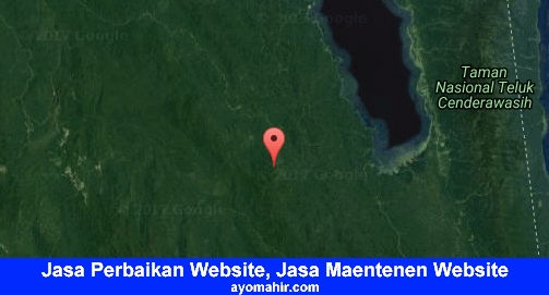 Jasa Perbaikan Website, Jasa Maintenance Website Murah Teluk Wondama
