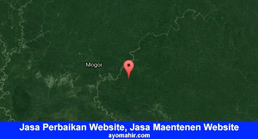 Jasa Perbaikan Website, Jasa Maintenance Website Murah Teluk Bintuni