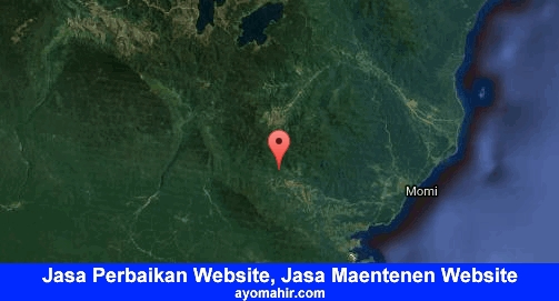 Jasa Perbaikan Website, Jasa Maintenance Website Murah Manokwari Selatan