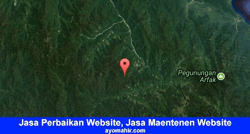 Jasa Perbaikan Website, Jasa Maintenance Website Murah Pegunungan Arfak