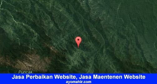 Jasa Perbaikan Website, Jasa Maintenance Website Murah Pegunungan Bintang
