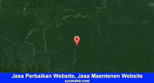 Jasa Perbaikan Website, Jasa Maintenance Website Murah Sarmi