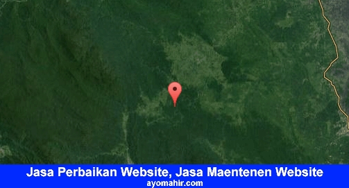 Jasa Perbaikan Website, Jasa Maintenance Website Murah Aceh Timur