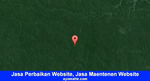 Jasa Perbaikan Website, Jasa Maintenance Website Murah Mamberamo Raya