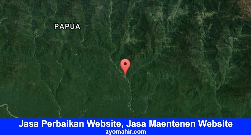 Jasa Perbaikan Website, Jasa Maintenance Website Murah Nduga