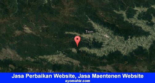 Jasa Perbaikan Website, Jasa Maintenance Website Murah Lanny Jaya