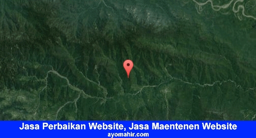Jasa Perbaikan Website, Jasa Maintenance Website Murah Mamberamo Tengah