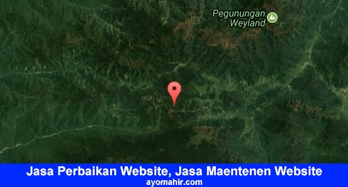 Jasa Perbaikan Website, Jasa Maintenance Website Murah Dogiyai