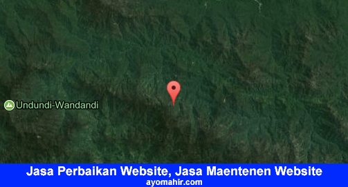 Jasa Perbaikan Website, Jasa Maintenance Website Murah Intan Jaya