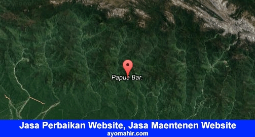 Jasa Perbaikan Website, Jasa Maintenance Website Murah Papua