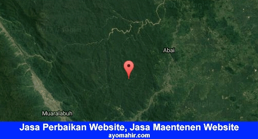 Jasa Perbaikan Website, Jasa Maintenance Website Murah Solok Selatan