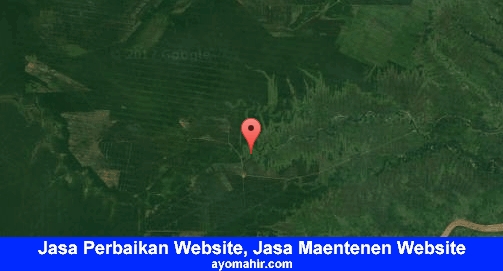 Jasa Perbaikan Website, Jasa Maintenance Website Murah Indragiri Hilir