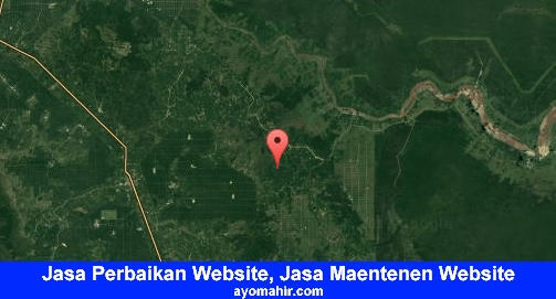 Jasa Perbaikan Website, Jasa Maintenance Website Murah Pelalawan