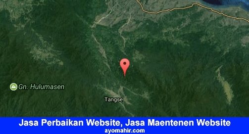 Jasa Perbaikan Website, Jasa Maintenance Website Murah Pidie
