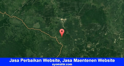 Jasa Perbaikan Website, Jasa Maintenance Website Murah Tanjung Jabung Barat